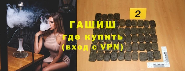 индика Сосновоборск