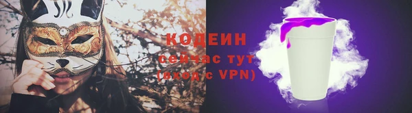 ПСИЛОЦИБИНОВЫЕ ГРИБЫ Арсеньев