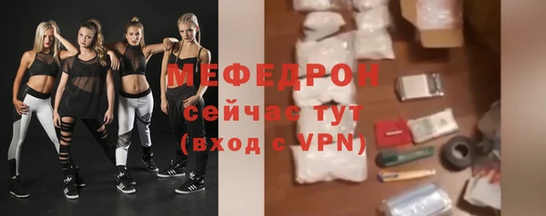 индика Сосновоборск