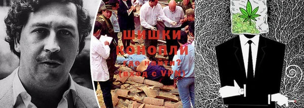 apvp Сосновый Бор
