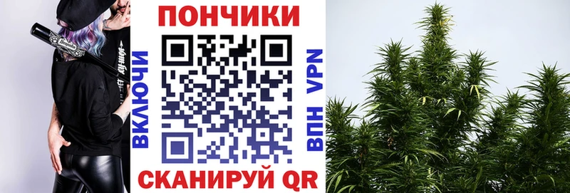 МАРИХУАНА сатива  магазин продажи наркотиков  Богородицк 